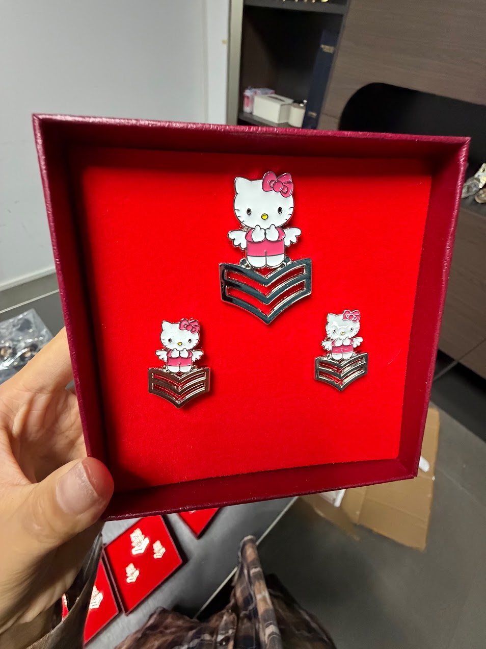 Hello Kitty Crow Set – E-6 & Junior | Crow Pin Set